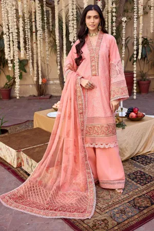 Pakistani Traditional Peach Long kameez Trousers Eid Dress